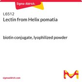 凝集素（来自罗马蜗牛） biotin conjugate, lyophilized powder