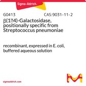 β(1→4)-Galactosidase, positionally specific from Streptococcus pneumoniae recombinant, expressed in E. coli, buffered aqueous solution