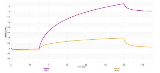 Anti-PLVAP Antibody, clone 3K18 ZooMAb&#174; Rabbit Monoclonal recombinant, expressed in HEK 293 cells