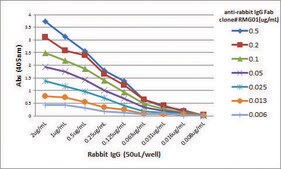 Anti-Rabbit IgG Fab antibody, Goat monoclonal recombinant, expressed in HEK 293 cells, clone RMG01, purified immunoglobulin