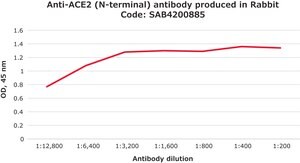 Anti-ACE2 (N-terminal) antibody produced in rabbit affinity isolated antibody, buffered aqueous solution