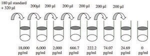 Human FGF-4 ELISA Kit for serum, plasma, cell culture supernatant and urine