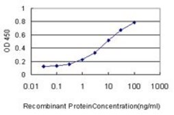 Monoclonal Anti-MGC29891 antibody produced in mouse clone 3A3-1F4, purified immunoglobulin, buffered aqueous solution