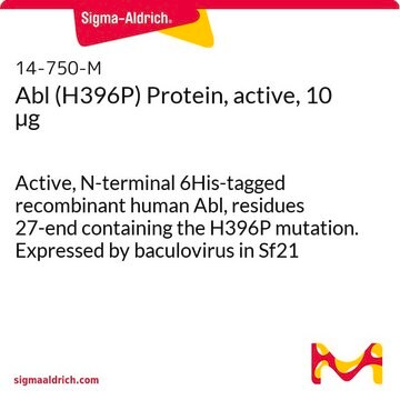 Abl (H396P) Protein, active, 10 &#181;g Active, N-terminal 6His-tagged recombinant human Abl, residues 27-end containing the H396P mutation. Expressed by baculovirus in Sf21 insect cells. For use in Kinase Assays.