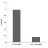 Anti-phospho-VEGFR2 (pTyr1214) antibody produced in rabbit affinity isolated antibody