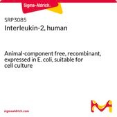 人白细胞介素-2 人 Animal-component free, recombinant, expressed in E. coli, suitable for cell culture