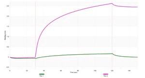 Anti-Mitofusin-1 Antibody, clone 1I7 ZooMAb&#174; Rabbit Monoclonal recombinant, expressed in HEK 293 cells