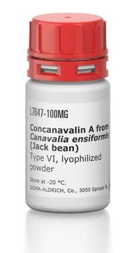 Concanavalin A from Canavalia ensiformis (Jack bean) Type VI, lyophilized powder