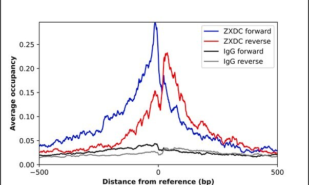 Anti-ZXDC antibody produced in rabbit Prestige Antibodies&#174; Powered by Atlas Antibodies, affinity isolated antibody