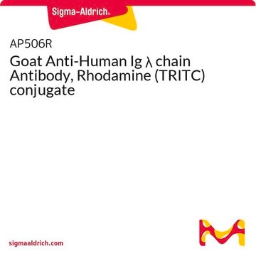 Goat Anti-Human Ig &#955; chain Antibody, Rhodamine (TRITC) conjugate
