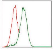 Monoclonal Anti-CYP3A4 antibody produced in mouse clone 3H8, purified immunoglobulin, buffered aqueous solution