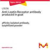 Anti-Leptin Receptor antibody produced in goat affinity isolated antibody, lyophilized powder