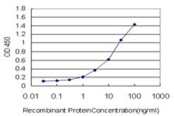 Monoclonal Anti-ZNF263 antibody produced in mouse clone 1F9, purified immunoglobulin, buffered aqueous solution