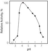D-Fructose Dehydrogenase from Gluconobacter sp. ≥20 units/mg solid