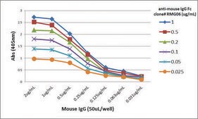 Anti-Mouse IgG Fc antibody, Goat monoclonal recombinant, expressed in HEK 293 cells, clone RMG06, purified immunoglobulin
