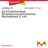 β1,4-Galactosidase, Streptococcus pneumoniae, Recombinant, E. coli