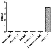 Rabbit Anti-Goat IgG(Fcγ) HRP Alpaca Heavy chain only Antibody recombinant Alpaca(VHH) Nano antibody