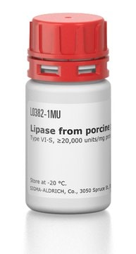 Lipase from porcine pancreas Type VI-S, &#8805;20,000&#160;units/mg protein, lyophilized powder