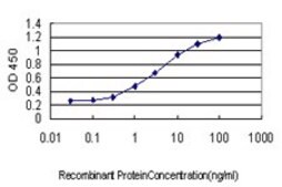 Monoclonal Anti-AKAP13 antibody produced in mouse clone 5B7, purified immunoglobulin, buffered aqueous solution