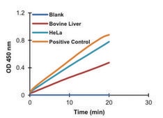 磷酸葡萄糖异构酶检测试剂盒 sufficient for 100 colorimetric&nbsp;tests