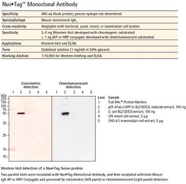 Nus&#8226;Tag Monoclonal Antibody Novagen&#174;
