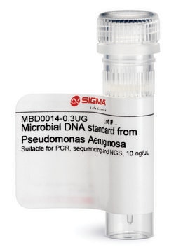 Microbial DNA standard from Pseudomonas Aeruginosa Suitable for PCR, sequencing and NGS, &#8805;10&#160;ng/&#956;L