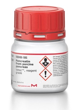 Pancreatin from porcine pancreas Vetec&#8482;, reagent grade