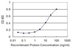 Monoclonal Anti-COL25A1 antibody produced in mouse clone 1D2, purified immunoglobulin, buffered aqueous solution
