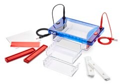 DirectLoad&#8482; Midi Horizontal Electrophoresis System, with 15x7, 10 &amp;15cm gel trays for agarose gel DNA and RNA horizontal electrophoresis