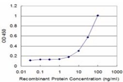 Monoclonal Anti-SNX1 antibody produced in mouse clone 1E3, purified immunoglobulin, buffered aqueous solution