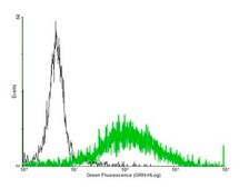 Anti-CCRL2 antibody produced in mouse IgG fraction of antiserum, buffered aqueous solution
