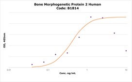Bone Morphogenetic Protein 2 human Carrier Free, ≥98% (SDS-PAGE), recombinant, expressed in E. coli, lyophilized powder, suitable for cell culture
