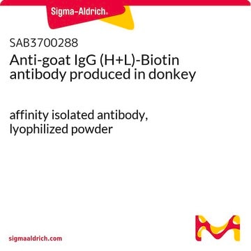 Anti-goat IgG (H+L)-Biotin antibody produced in donkey affinity isolated antibody, lyophilized powder