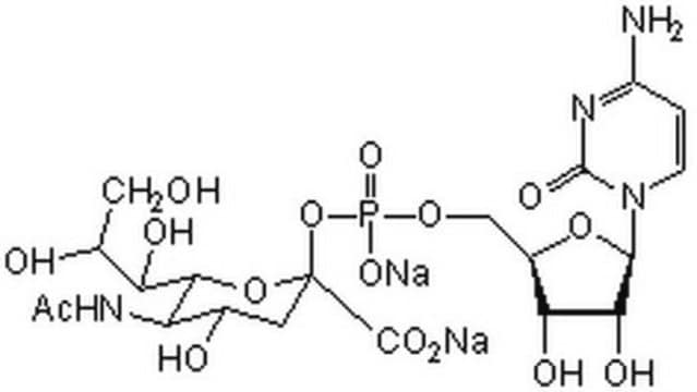 CMP-Sialic Acid, Disodium Salt CMP-sialic acid is the activated form of sialic acid that is required for the biosynthesis of sialic acid-containing complex carbohydrates.