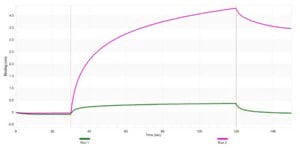 Anti-LATS2 Antibody, clone 1L5 ZooMAb® Rabbit Monoclonal recombinant, expressed in HEK 293 cells