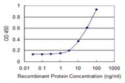 Monoclonal Anti-TRIM26 antibody produced in mouse clone 1G3, purified immunoglobulin, buffered aqueous solution