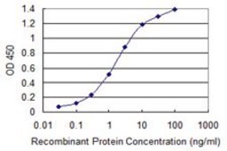 Monoclonal Anti-ABCB1 antibody produced in mouse clone 1F11, purified immunoglobulin, buffered aqueous solution