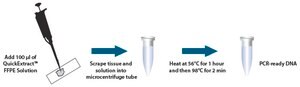 QuickExtract FFPE DNA Extraction Kit pkg of 500 reactions, pkg of 50 mL, For rapid extraction of PCR-ready DNA from FFPE samples