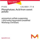 Phosphatase, Acid from sweet potato ammonium sulfate suspension, ≥10.0 units/mg protein (modified Warburg-Christian)