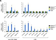 Anti-acetyl-Histone H4 Antibody 1 mg/mL, Upstate®