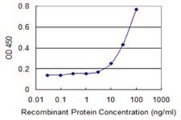 Monoclonal Anti-HIPK1 antibody produced in mouse clone 1D6, purified immunoglobulin, buffered aqueous solution