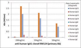 Anti-Human IgA1 antibody, Rabbit monoclonal recombinant, expressed in HEK 293 cells, clone RM124, purified immunoglobulin