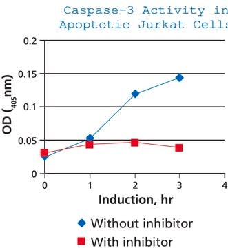 Caspase 3 检测试剂盒（比色法）