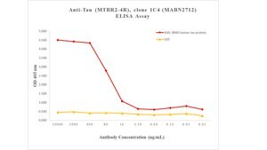 Anti-Tau (MTBR2-4R) Antibody, clone 1C4