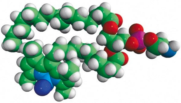 TopFluor&#174; PE Avanti Polar Lipids 810282C