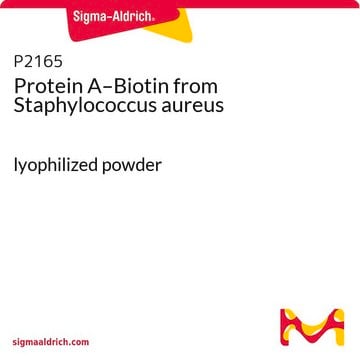 蛋白A-生物素 来源于金黄色葡萄球菌 lyophilized powder