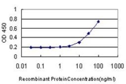 Monoclonal Anti-AADAC antibody produced in mouse clone 2E8, purified immunoglobulin, buffered aqueous solution