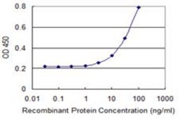 Monoclonal Anti-C13ORF31 antibody produced in mouse clone 2A1, purified immunoglobulin, buffered aqueous solution
