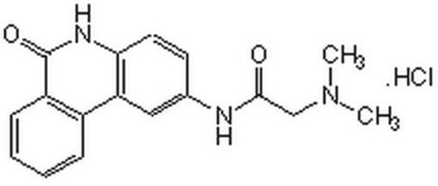 PARP Inhibitor VIII, PJ34 The PARP Inhibitor VIII, PJ34, also referenced under CAS 344458-15-7, controls the biological activity of PARP. This small molecule/inhibitor is primarily used for Cell Structure applications.