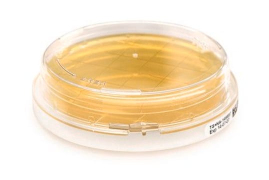Sabouraud Dextrose Agar Contact With Chloramphenicol, 55 mm lockable Contact Plates, for detection of yeast and molds- Room Temperature storage